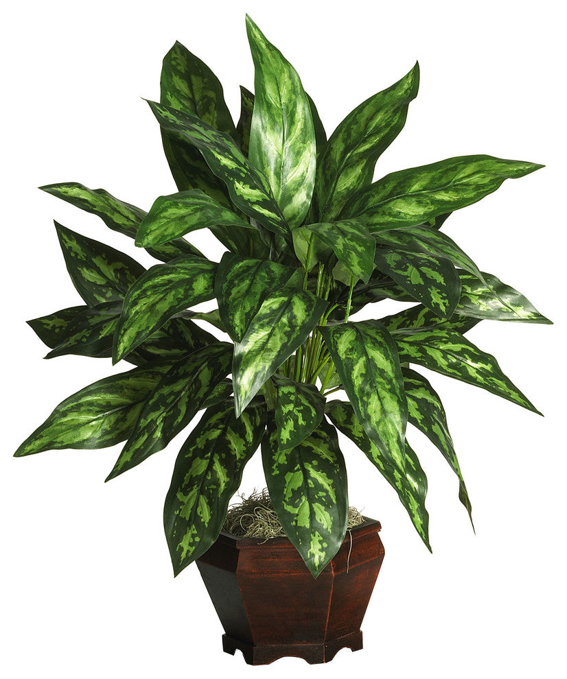 Silver King With Wood Vase Silk Plant