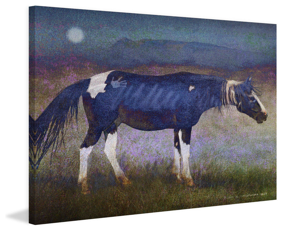 "Black Horse" Painting Print on Canvas by Chris Vest