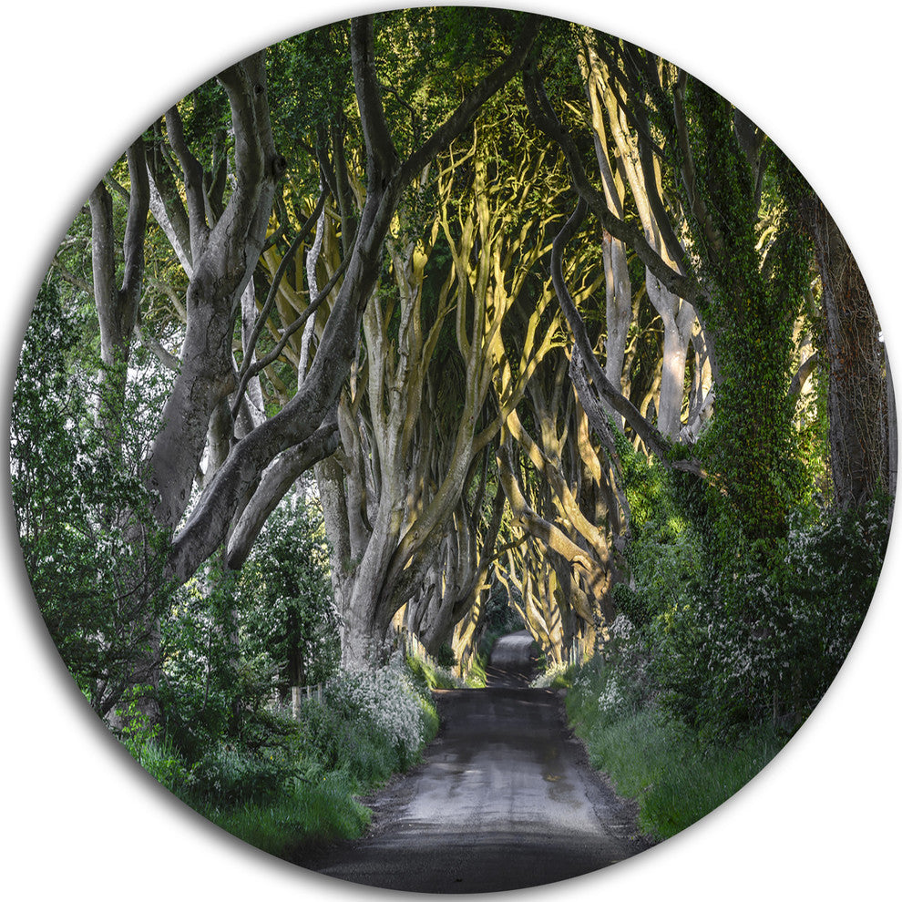 The Dark Hedges Ireland Landscape, Photo Round Metal Wall Art, 11"