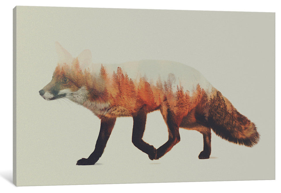 "Fox I" by Andreas Lie, 18x12x1.5"