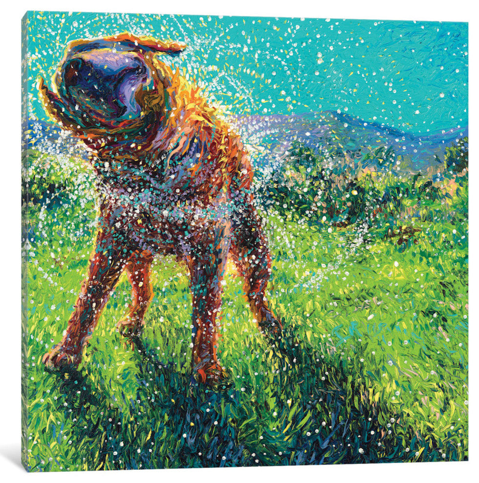 "Swimmin' In The Creek Gallery" by Iris Scott, 12"x12"x1.5"