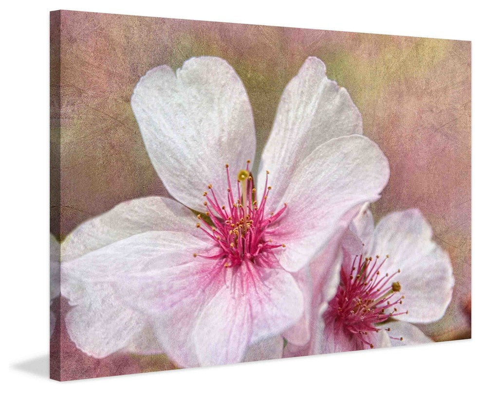 "Cherry Blossoms" Painting Print on Canvas by Theo