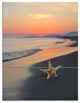 "Summer Beach With Starfish" and Shore Canvas Art Print, 3 Panels, 28"x36"