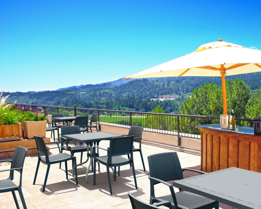 Capri Resin Dining Arm Chair, Dark Gray, Set of 2