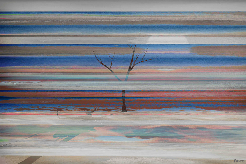 "Desolation" Print on Canvas, 18"x12"