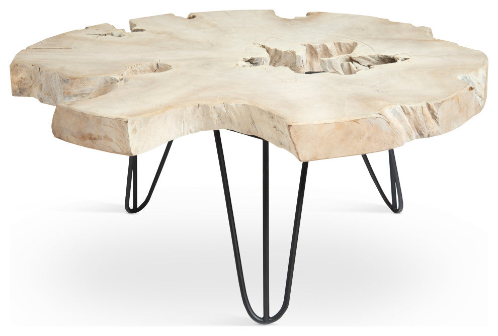 Bleached Slice Coffee Table, Iron Legs