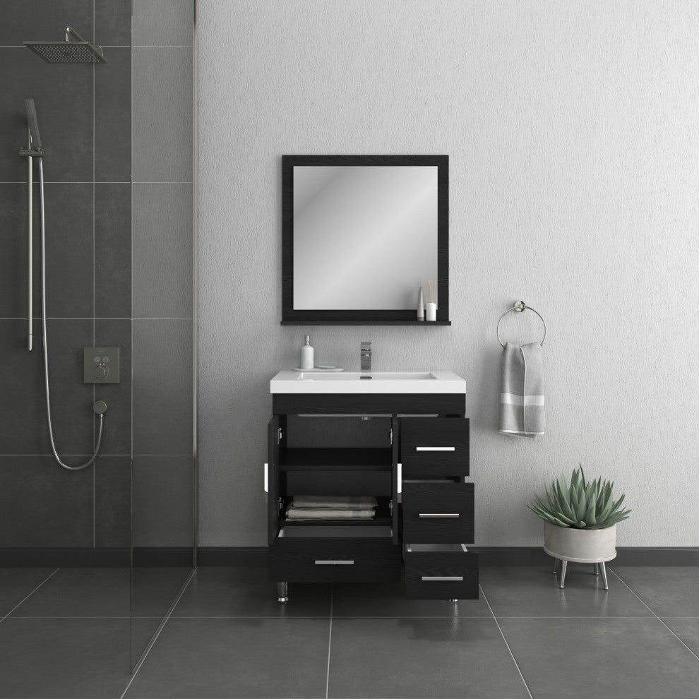 Ripley 30" Modern Bathroom Vanity Set, Black