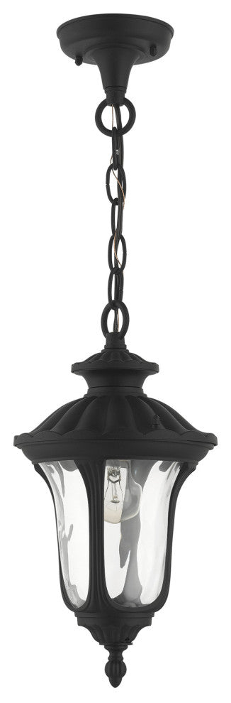 Textured Black Traditional, Victorian, Sculptural, Outdoor Pendant Lantern