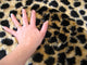 Faux Cheetah Pelt Rug, 40"x55"