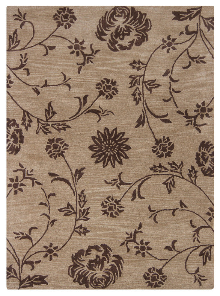 Bajrang Transitional Area Rug, 5'x7'