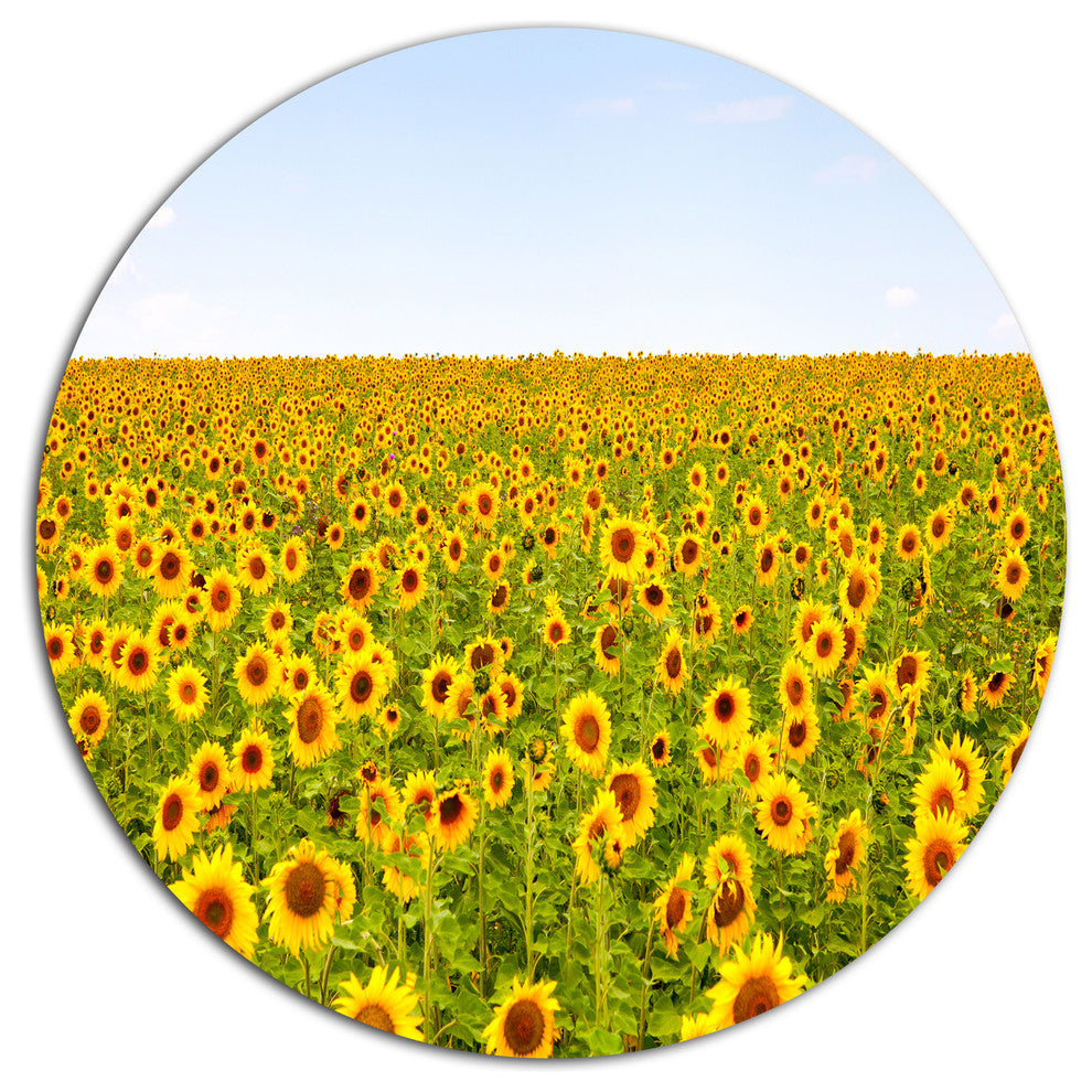 Beautiful Sunflowers Garden, Flower Disc Metal Wall Art, 23"