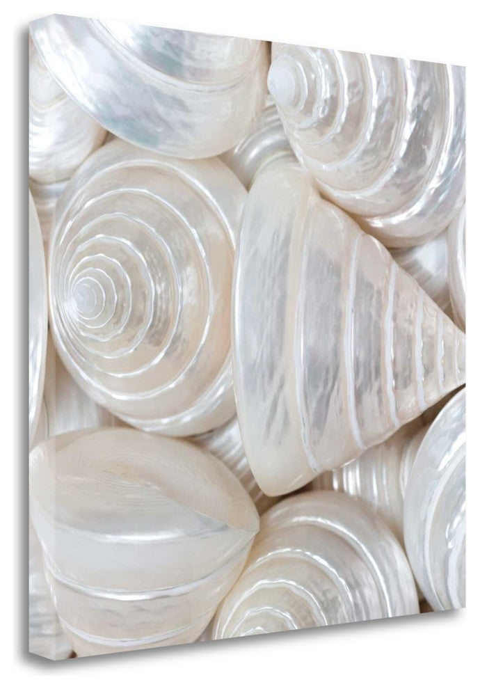 "Opalesque II" By Assaf Frank,Ready to Hang Giclee Print on Gallery Wrap Canvas