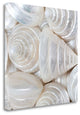 "Opalesque II" By Assaf Frank,Ready to Hang Giclee Print on Gallery Wrap Canvas
