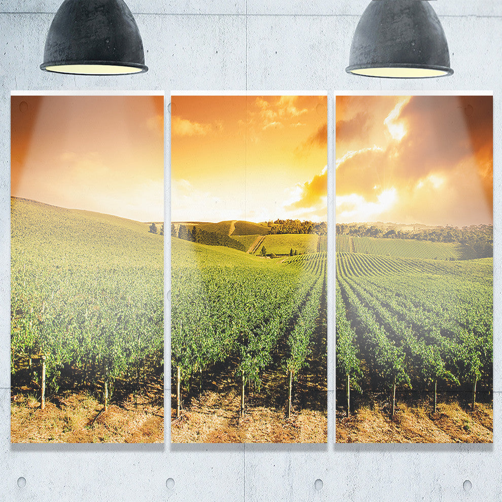 "Sunset Vineyard Panorama" Metal Landscape, 3 Panels, 36"x28"