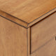 Dexter Oak Finish 2-drawer Nightstand