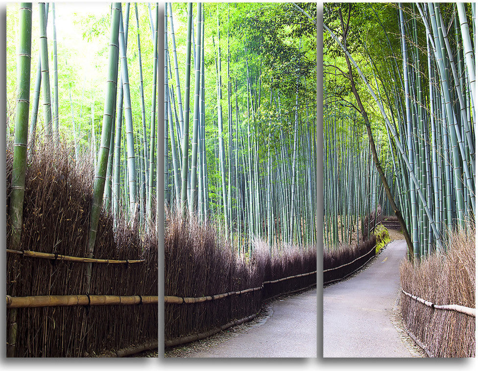 "Kyoto Bamboo Forest Pathway" Forest Metal Wall Art, 3 Panels, 36"x28"