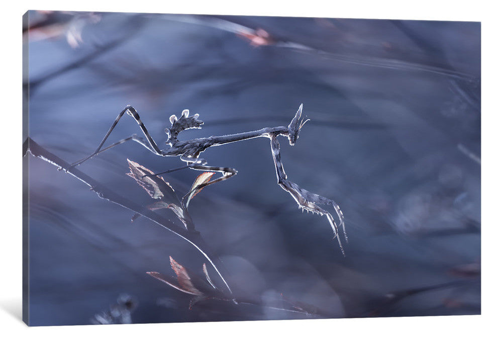 "Real Steel" by Fabien Bravin, 40x26x1.5
