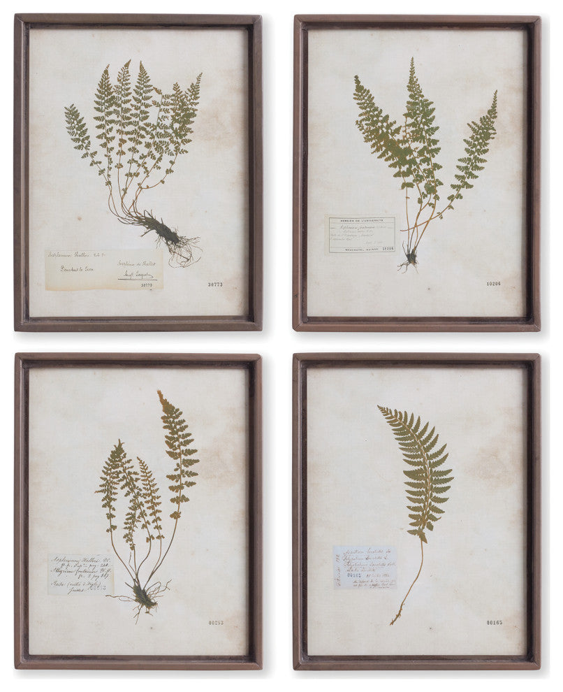 4-Piece Petite Frond Print Set