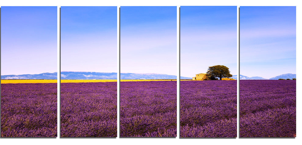 "Lavender Flowers With Old House" Landscape Wall Art Print, 5 Panels, 60"x28"