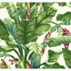 Banana Leaf Wallpaper