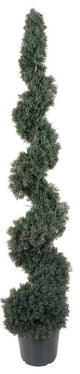 5' Cedar Spiral Silk Tree, Indoor and Outdoor