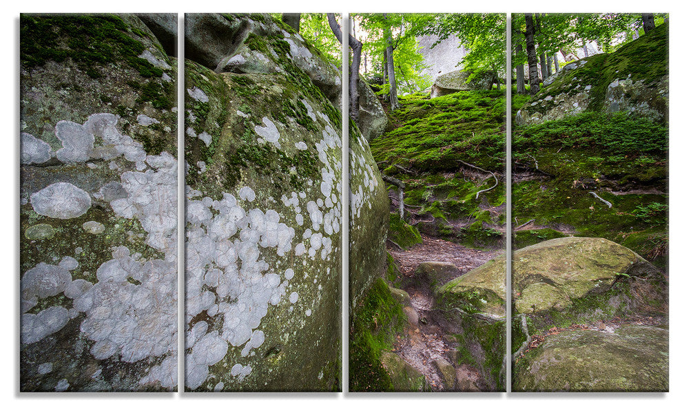 "Large Rocks in Deep Moss Forest" Landscape Art Print Canvas, 4 Panels, 48"x28"