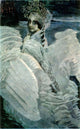 Michael Vrubel SwanPrincess Premium Canvas Print