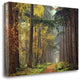"Colors Of The Forest" By Lars Van De Goor, Giclee Print on Gallery Wrap Canvas