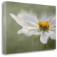 "Whisper" By Mandy Disher, Giclee Print on Gallery Wrap Canvas, Ready to Hang