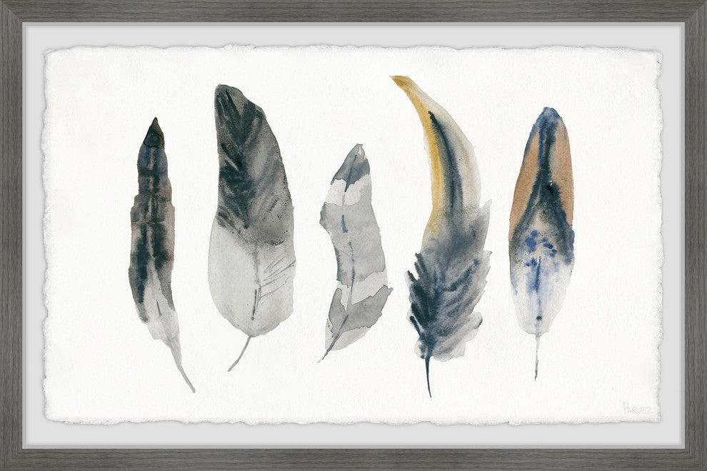 "Shaded Feathers" Framed Painting Print, 24"x16"
