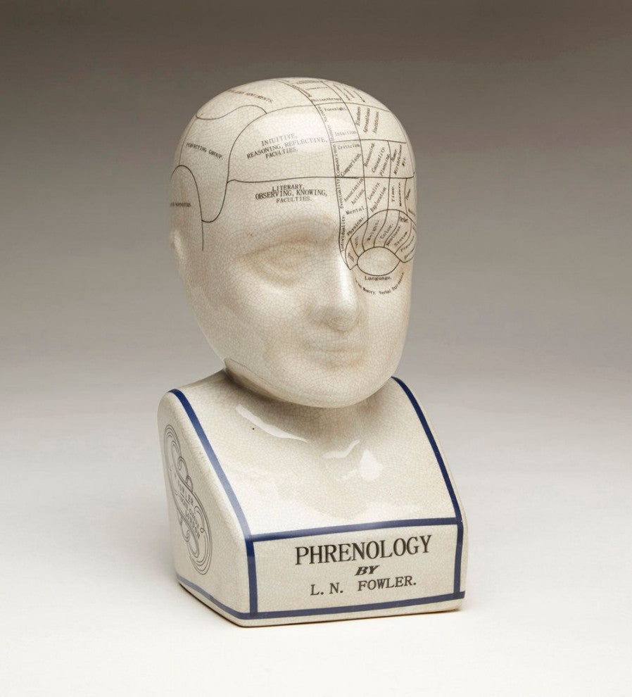 Crackle Ceramic Phrenology Bust, White