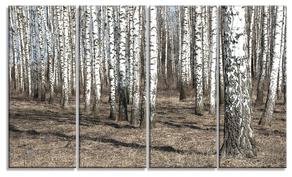 Beautiful Dense Birch Forest View, Modern Forest Canvas Art, 48"x28", 4 Panels