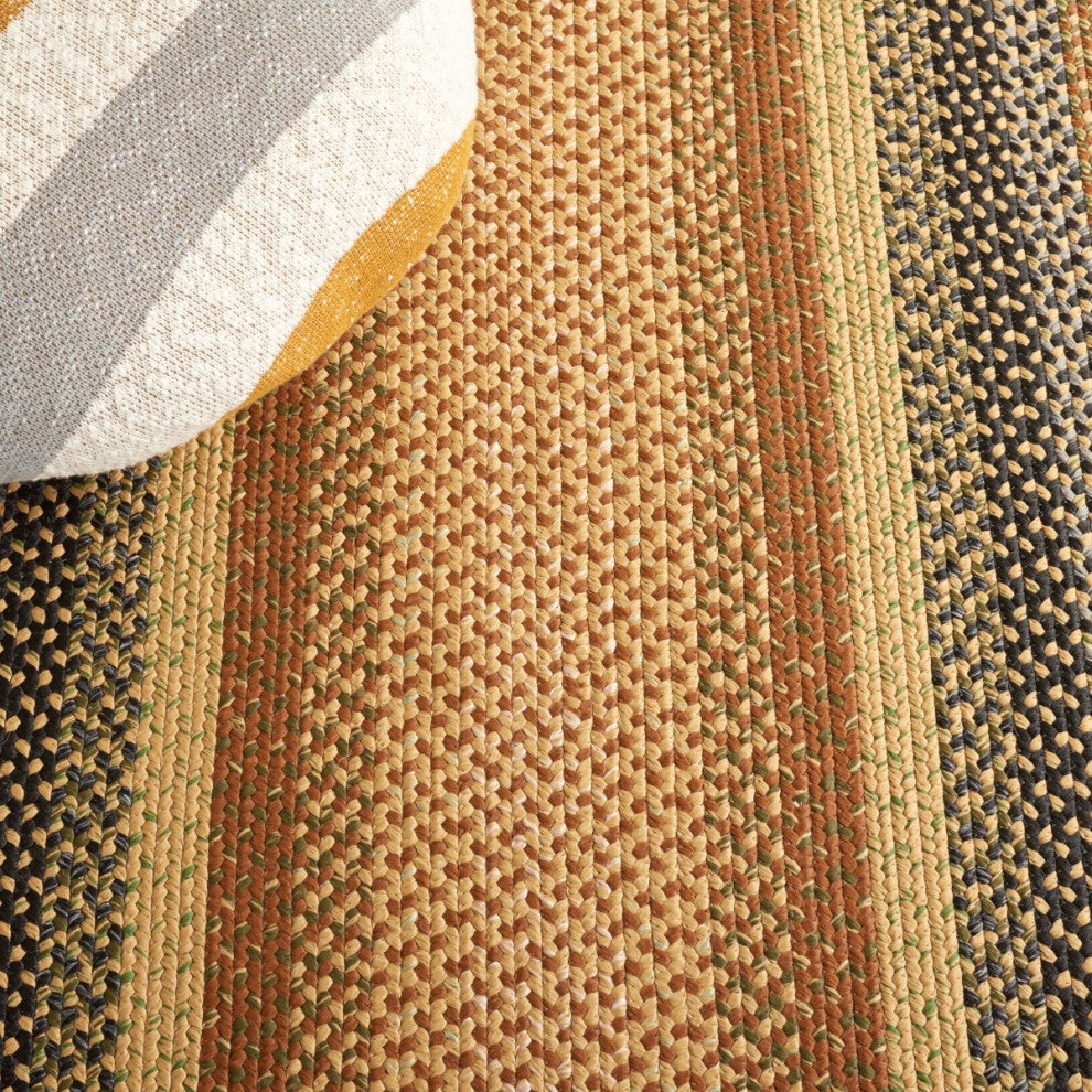 Safavieh Braided BRD308 Rug Machine-Washable, Multi, 10'x14'