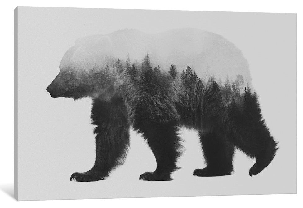 "Bjorn I" by Andreas Lie, 26x18x1.5