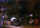 Herman Saftleven Interior of a Peasant Hut - 18" x 27" Premium Canvas Print