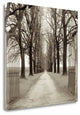 "Veneto Giardini - 1" By Alan Blaustein, Giclee Print on Gallery Wrap Canvas