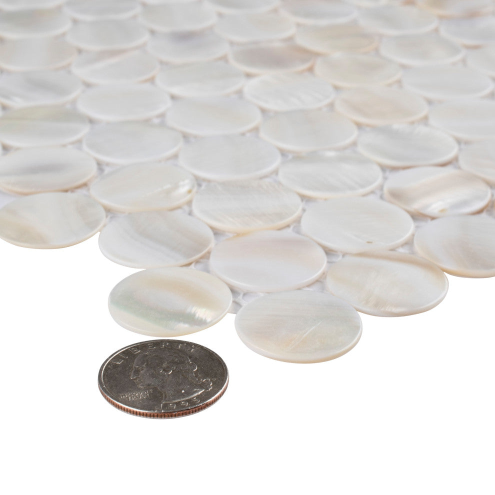 Conchella Penny Mosaic Wall Tile, White