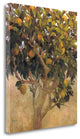 "Limonero" By J. Ripoll, Giclee Print on Gallery Wrap Canvas, Ready to Hang