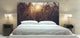 "Sun Fields" Headboard