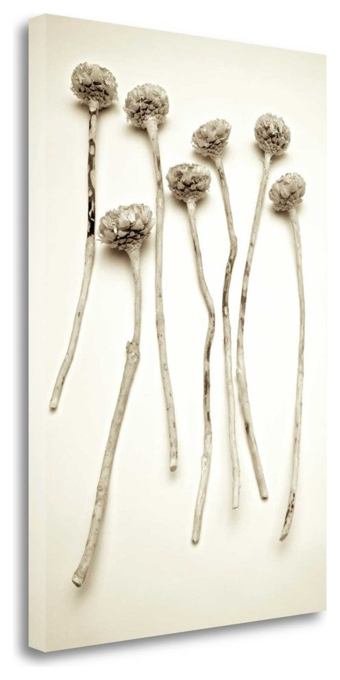 "Garden Bloom - 17" By Alan Blaustein, Giclee Print on Gallery Wrap Canvas