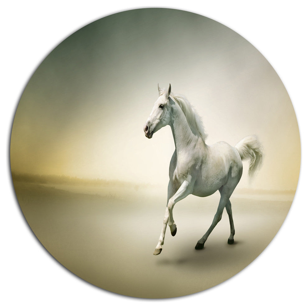 White Horse In Motion, Animal Round Wall Art, 11"