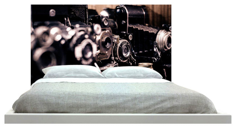 "Cameras" Headboard