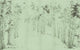 Bamboo Forest, Green Full Size