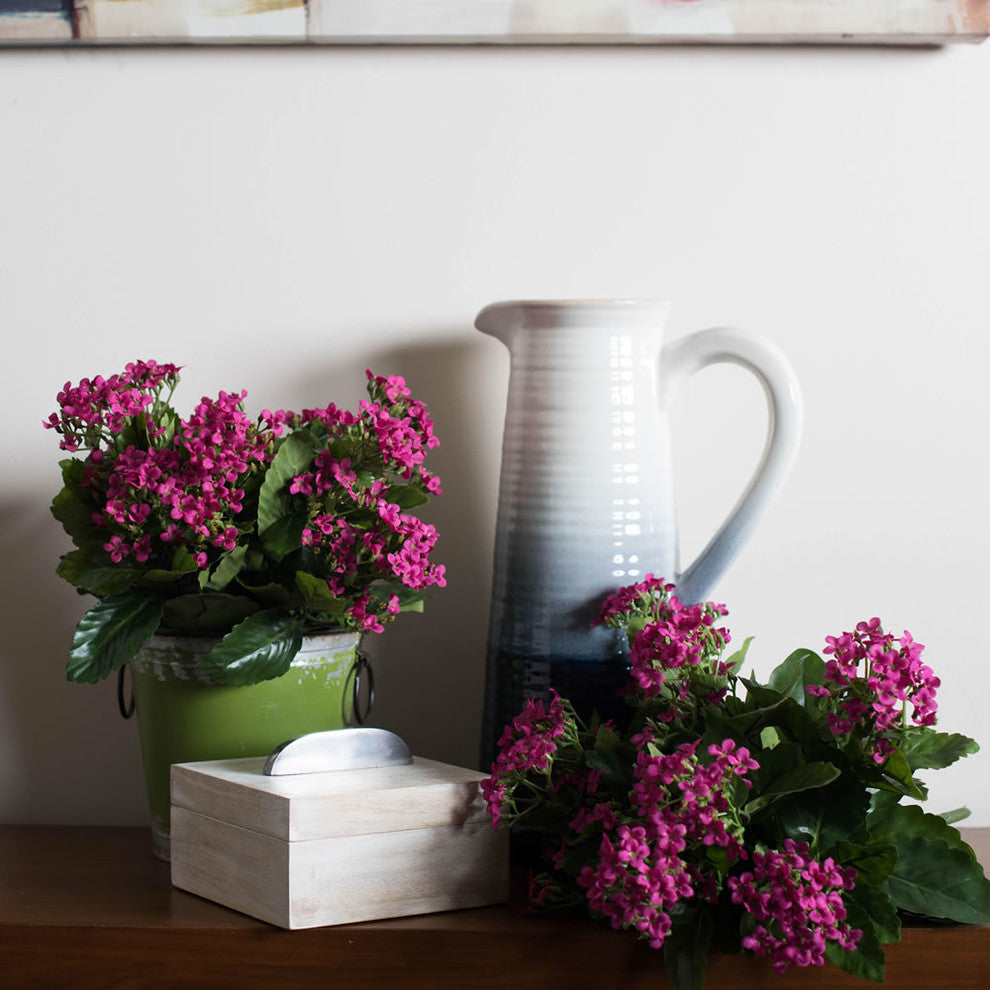 15" Hot Pink Kalanchoe Bush