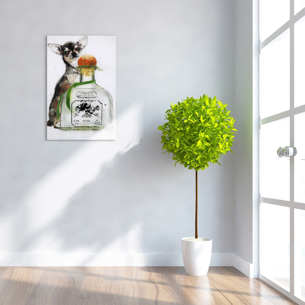 Viva Mexico Dog Fashion Wall Art on Frameless Free Floating Tempered Glass 24x16
