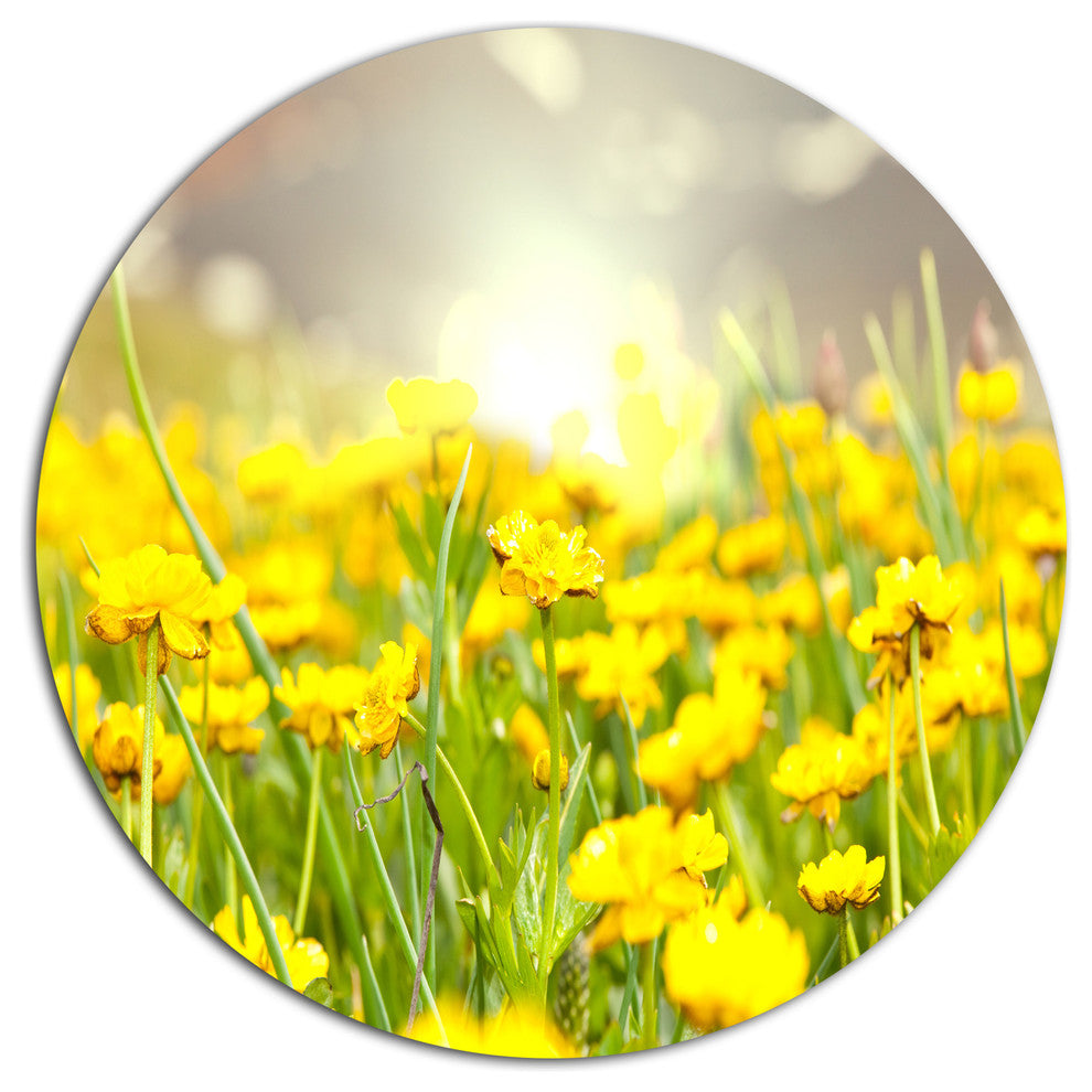 Sunny Meadow With Yellow Flowers, Floral Round Wall Art, 23"