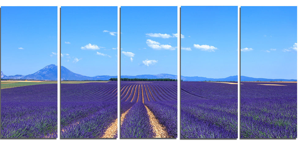 "Lavender Blooming Fields and Trees" Landscape Wall Art Print, 5 Panels, 60"x28"