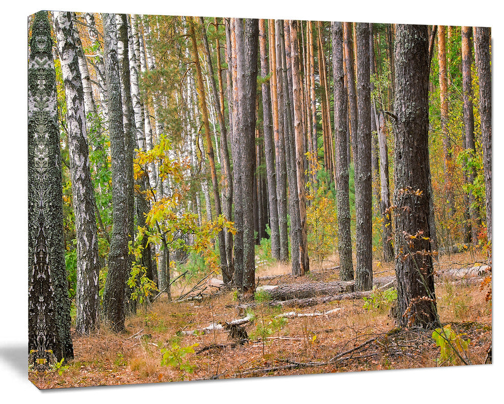 Green Fall Forest with Thick Woods, Modern Forest Canvas Art, 40"x30"