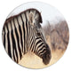 Beautiful Zebra In Forest, Animal Disc Metal Artwork, 11"
