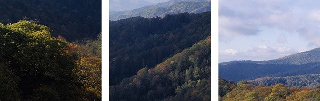 "Great Smoky Mountains National Park TN" Canvas Art, 36"x12"x1.25"
